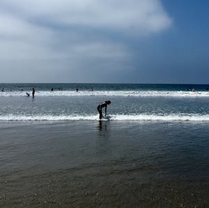 Meet your Posher, Sonya